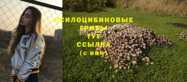 меф Белокуриха
