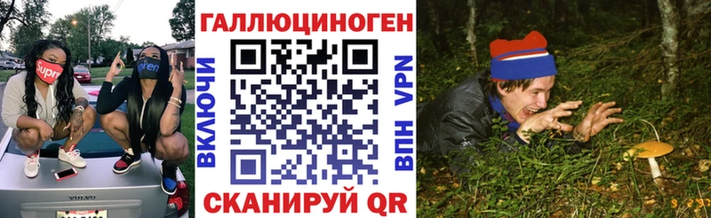 ссылка на мегу рабочий сайт где найти наркотики Салаир Галлюциногенные грибы Psilocybe